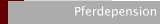 Pferdepension